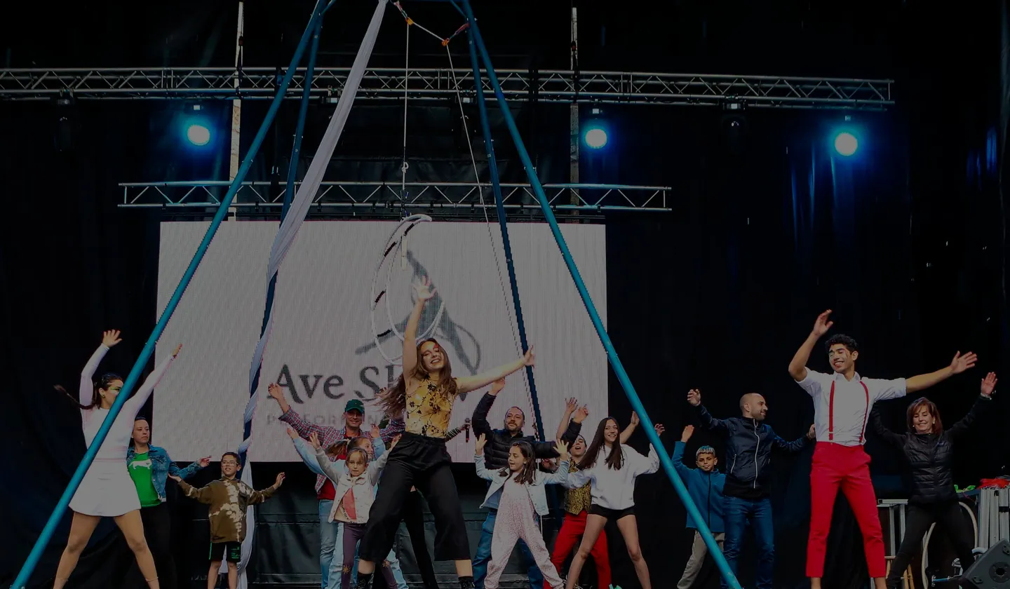 Ave Show performers dancing with the audience on a large stage with an aerial hoop rig and acrobatic silks